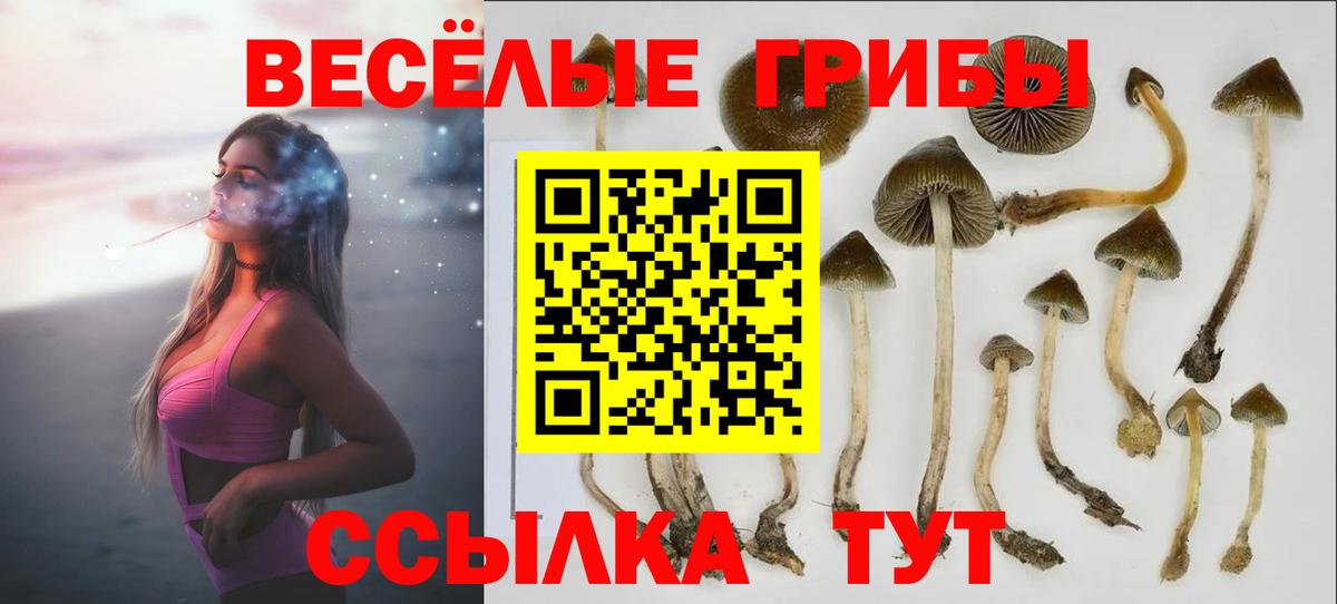 Псилоцибиновые грибы ЛСД Нерюнгри