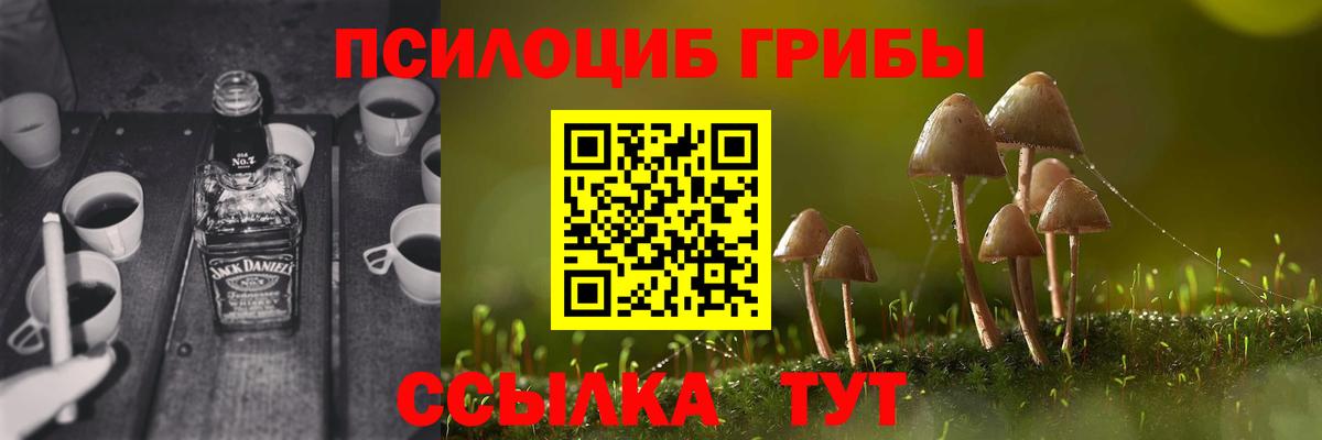 Меф Нерюнгри